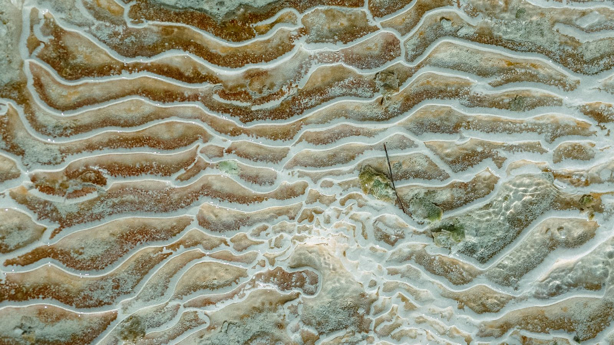 Surface de travertin naturel aux alvéoles et pores bien visibles